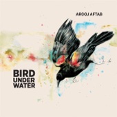 Bird Under Water artwork