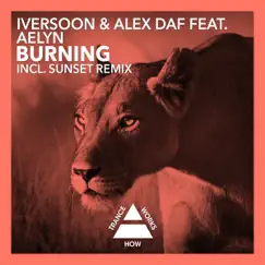 Burning (feat. Aelyn) - EP by Iversoon & Alex Daf album reviews, ratings, credits