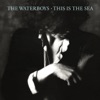 This Is the Sea (Deluxe Version) artwork