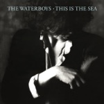 This Is the Sea (Deluxe Version)