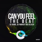 Can You Feel the Beat artwork