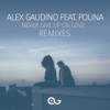 Never Give Up on Love (feat. Polina) [Remixes]