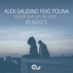 Never Give Up on Love (feat. Polina) [Remixes] - Alex Gaudino