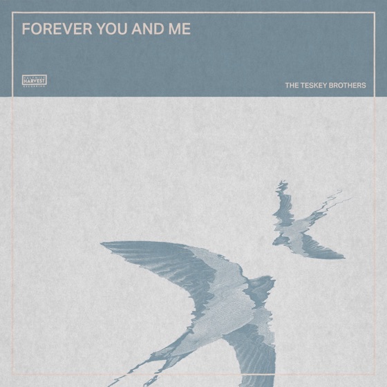 Cover artwork for Forever You and Me