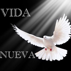 Las Siete Promulgaciones De La Ley Divina De Dios
