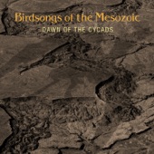 Birdsongs Of The Mesozoic - Jay Reeg Intro
