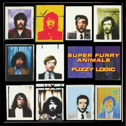 Fuzzy Logic (20th Anniversary Deluxe Edition) - Super Furry Animals