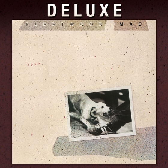 Cover artwork for Sara (3/10/79 Version)