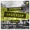 Aka Aka & Thalstroem Feat. Chasing Kurt - True (Junge Junge Remix) | Antenne Norderney