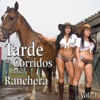 Tarde de Corridos y Música Ranchera, Vol. 3