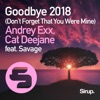 Goodbye (Don't Forget That You Were Mine) 2018 [feat. Savage] - Single