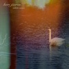 White Swan (Bonus Tracks) artwork