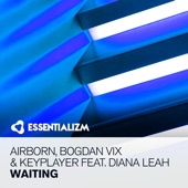 Waiting (feat. Diana Leah) artwork