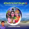 Shree Kedareshwara Gauri Vrata Pooja album lyrics, reviews, download