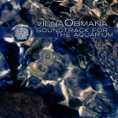 Vidna Obmana - aqua 2b