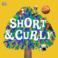 podcast cover