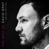 The Best of David Gray (Deluxe Edition) artwork