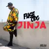 Jinja - Single album lyrics, reviews, download