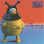 Dr Summer Chunnt