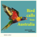 Morning Chorus of Birds - Bird Calls