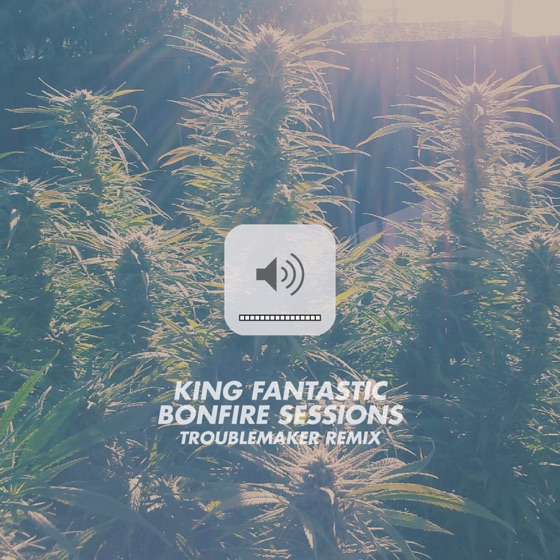 Cover artwork for Bonfire Sessions (Troublemaker Remix)