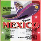 Viva México artwork