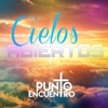 Cielos Abiertos - Single