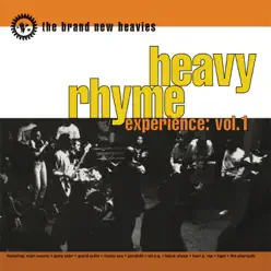 Heavy Rhyme Experience: Vol.1 - The Brand New Heavies