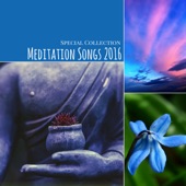Meditation Songs 2016 - Special Collection of Relaxing Meditation Music for Yoga, Sleep, Study, Spa and Reiki Healing Therapy artwork