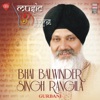 Music in the Living Room - Bhai Balwinder Singh Rangila