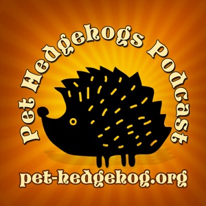 Ep1 – Pet Hedgehog Enthusiasts Coming Together