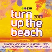 538 Turn Up the Beach 2013 artwork