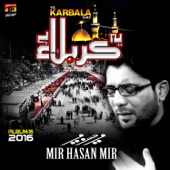 Ye Karbala Hai, Vol .16 artwork