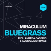 Blue Grass (Andrea Cassino Remix) artwork