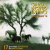 Canto e Encanto Nativo, Vol. 9