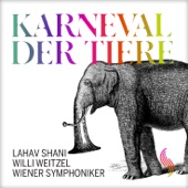 Der Karneval der Tiere, R. 125: XI. Klavier-Zebras artwork