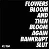 Flowers Bloom. And Then Bloom Again song lyrics
