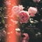 Sun Goes Down - Las Kellies lyrics