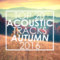 Guitar Tribute Players - Top 20 Acoustic Tracks Autumn 2016 (Instrumental) artwork