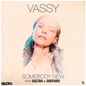 VASSY - Somebody New (feat. "Sultan + Shepard")