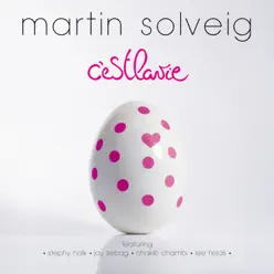 C'est la vie - Martin Solveig
