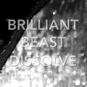 Brilliant Beast - Like Dreaming