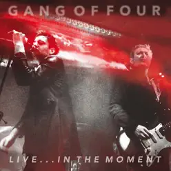 Live... In the Moment - Gang Of Four Live... In the Moment - Gang Of Four