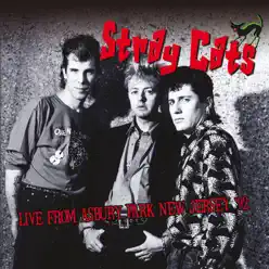 From Asbury Park, New Jersey. '92 (Live) - Stray Cats