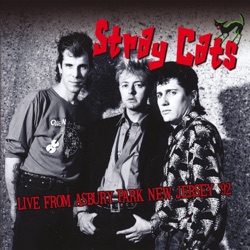 Stray Cats - I Fought the Law