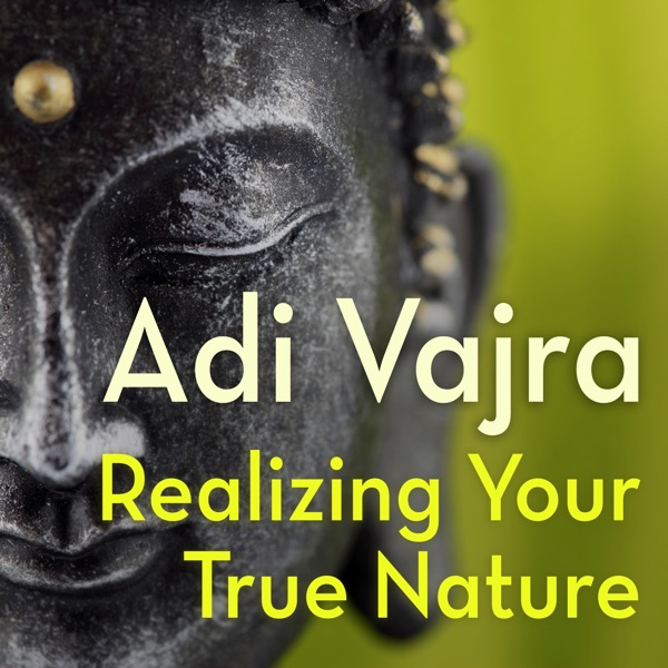 Realizing Your True Nature with Adi Vajra cover