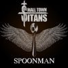 Spoonman - Single