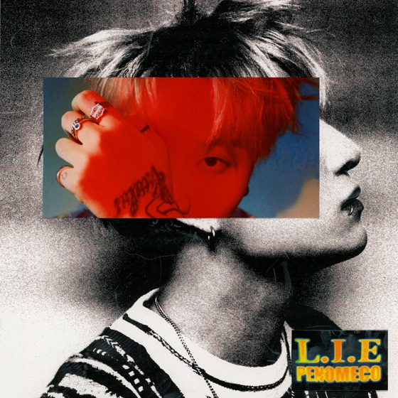Cover artwork for L.I.E