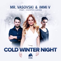 Download Cold Winter Night (feat. Cserpes Laura) - Single - Mr. Vasovski & Immi V - Musique - Music Store