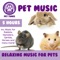 Relaxing Music for Guinea Pigs - PetTunes lyrics
